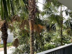 D'Leedon (D10), Condominium #540069371